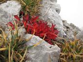 SUL MONTE CAVALLO (mt. 2323) CON TANTA NEBBIA 9 ottobre 2010 - FOTOGALLERY